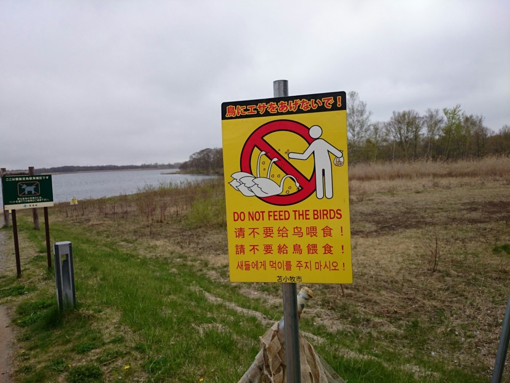 ウトナイ湖では鳥にエサをやらないで！