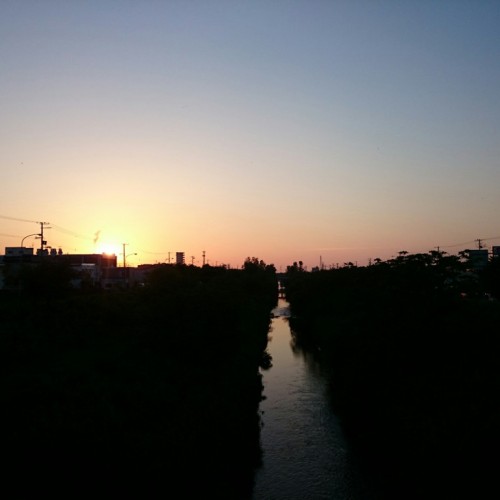 新川の夕日