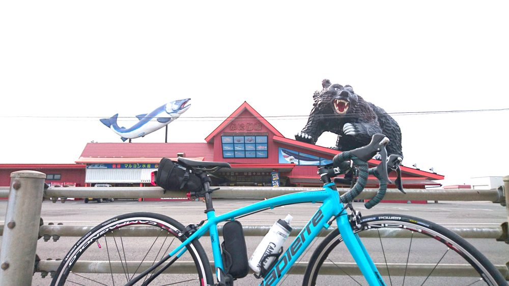 自転車 長距離 36号線 苫小牧